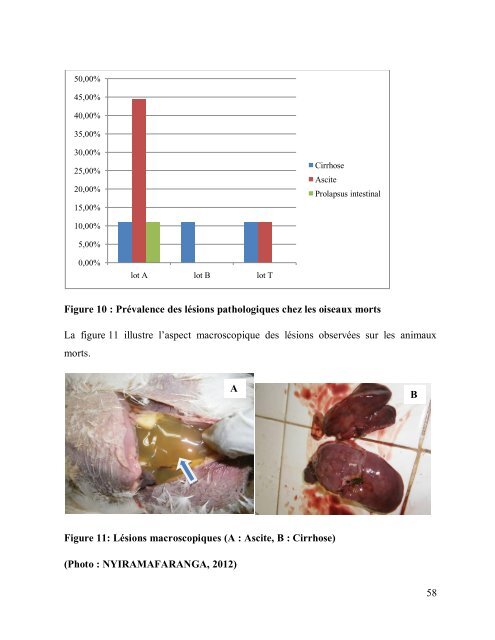 Effets d'un traitement chimique par des " fines d'attapulgite ... - BEEP