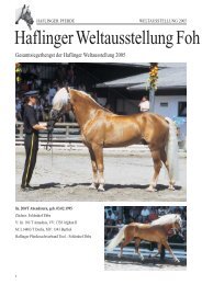 Zeitung 7/2005 - 18/2 f r NET - Haflinger Tirol