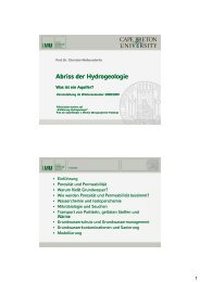 Abriss der Hydrogeologie - Christian Wolkersdorfer