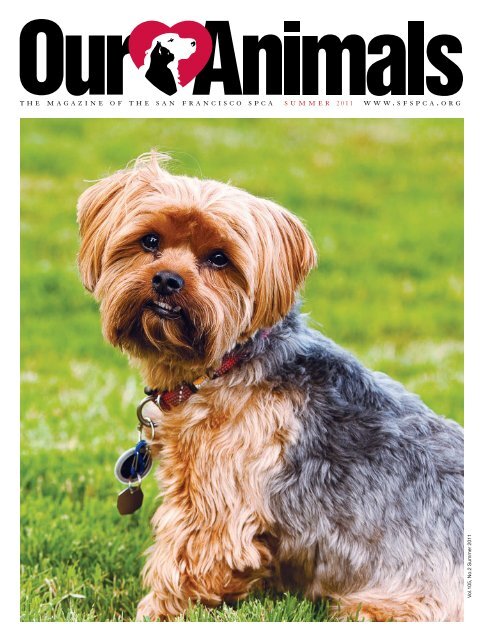 the magazine of the san francisco spca summer 2011 www.sfspca.org