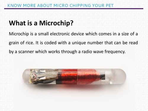 Track your lost pet with Micro Chipping