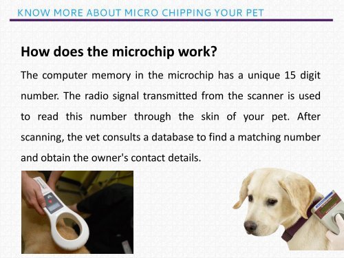 Track your lost pet with Micro Chipping