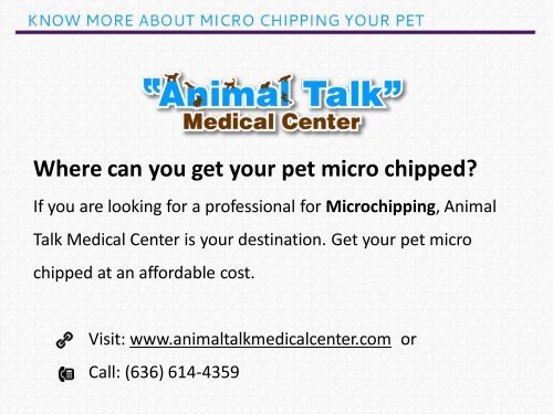 Track your lost pet with Micro Chipping
