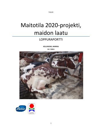 Maitotila 2020 -loppuraportti - ProAgria Oulu