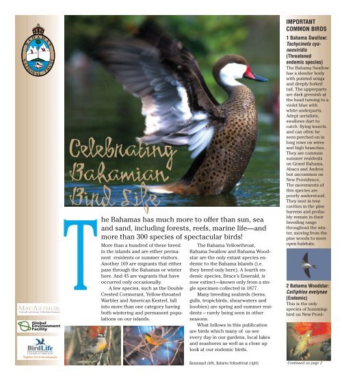 Celebrating Bahamian Bird Life - The Bahamas National Trust