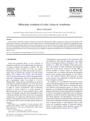 Molecular evolution of color vision in vertebrates