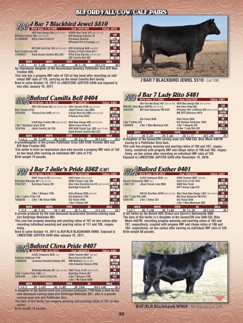 Buford Ranches - Angus Journal