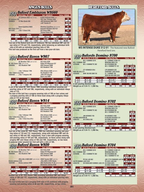 Buford Ranches - Angus Journal