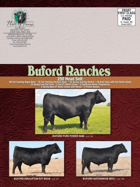 Buford Ranches - Angus Journal