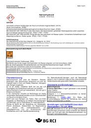 Gesamtes Datenblatt - GisChem