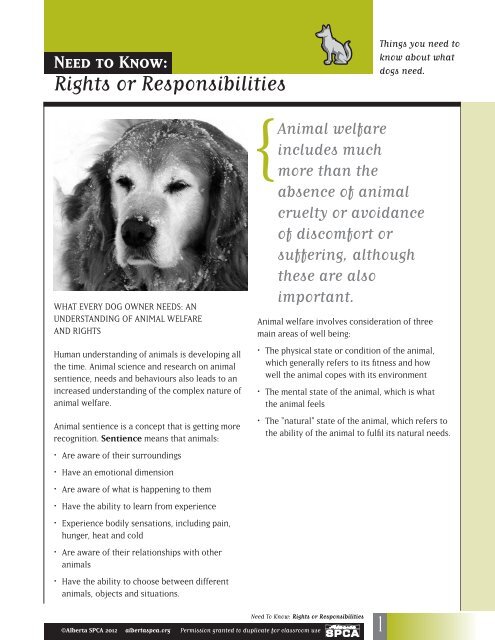 Rights or Responsibilities - Dogs - ctsanimals