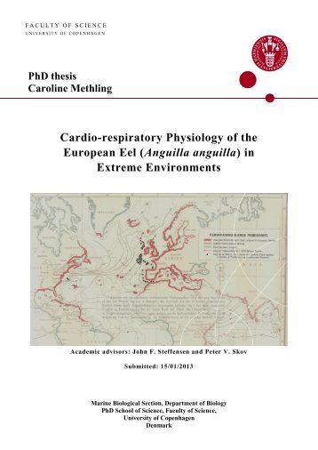 Cardio-respiratory Physiology of the European Eel ... - Biologisk Institut