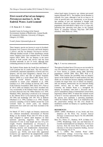 First record of larval sea lamprey Petromyzon marinus L. in the ...