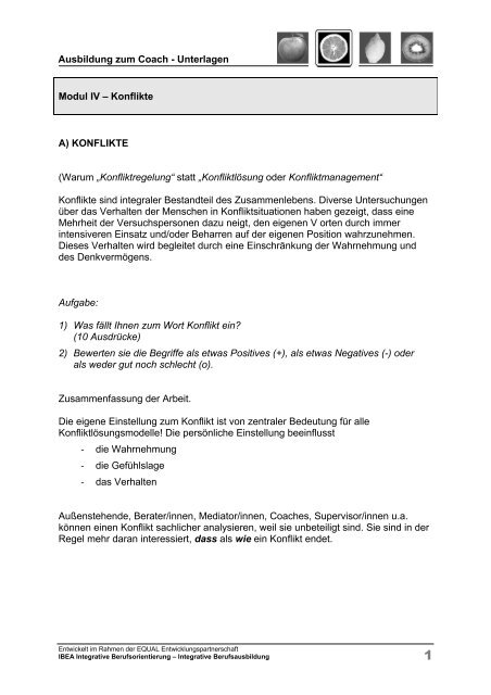 Unterlagen zu den Ausbildungsmodulen_Modul 4.pdf