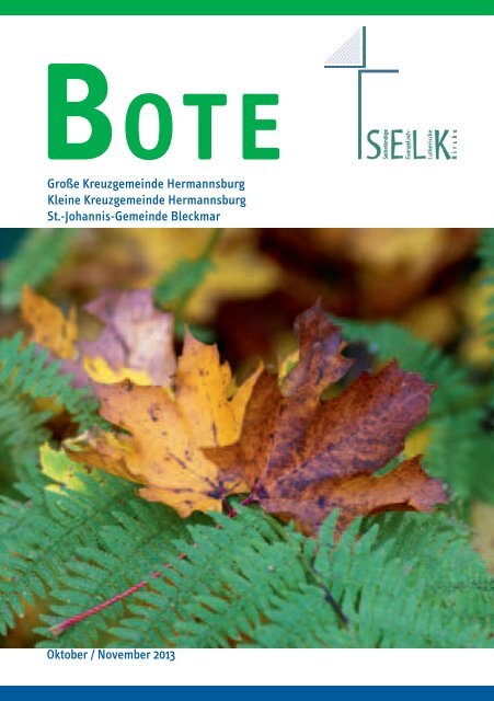 Bote_2013_Ausgabe_4_Oktober_November.pdf (1,6 MB) - Kleinen ...
