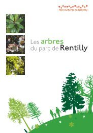 Livret sur les arbres du parc de Rentilly - CommunautÃ© d ...