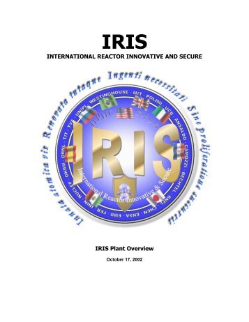 IRIS Plant Overview - SMR