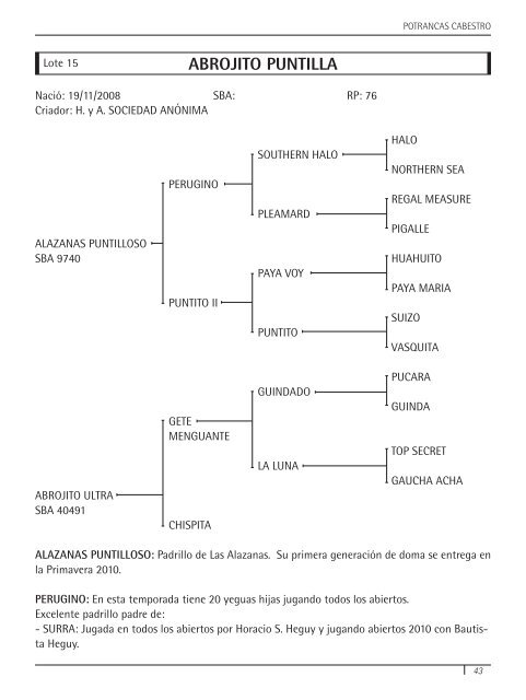 de Primavera - Asociación Argentina de Criadores de Caballos de ...