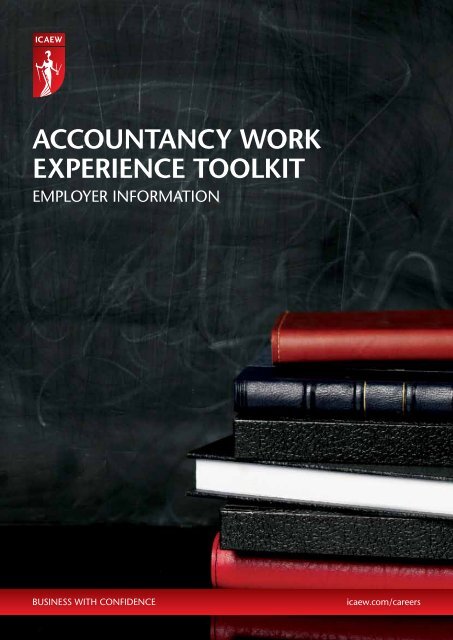 ACCOUNTANCY WORK EXPERIENCE TOOLKIT - ICAEW