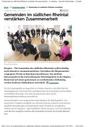 Gemeinden im sÃ¼dlichen Rheintal verstÃ¤rken ... - Vision Rheintal