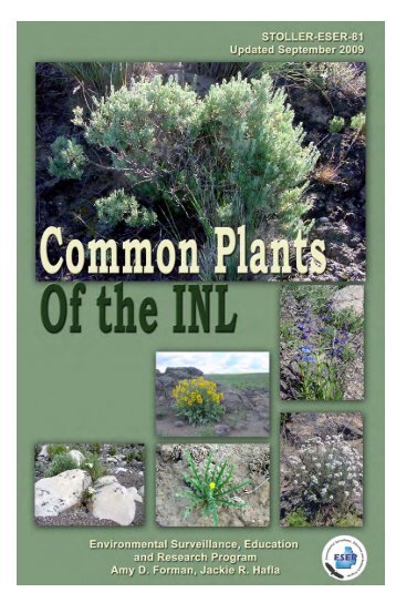 Download Common Plants of the INL - GSS ESER Program