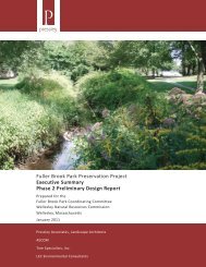 Fuller Brook Executive Summary - Town of Wellesley