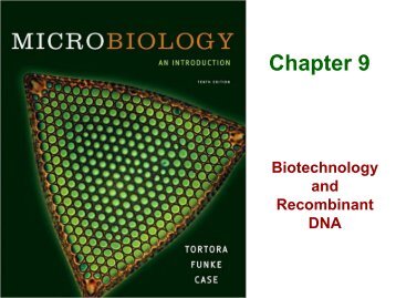 Chapter 9 Biotechnology