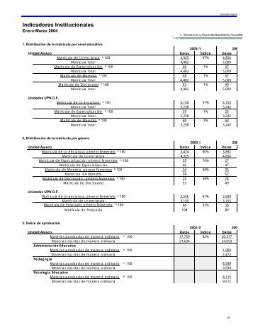 Indicadores institucionales.pdf