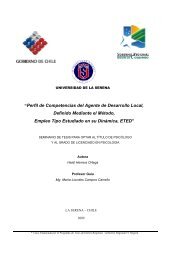 “Perfil de Competencias del Agente de Desarrollo Local, Definido ...