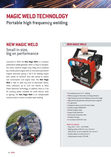 GENERATING SETS ENGINE DRIVEN WELDERS - Eiva-Safex