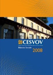 Bilancio sociale 2008 - Cesvov