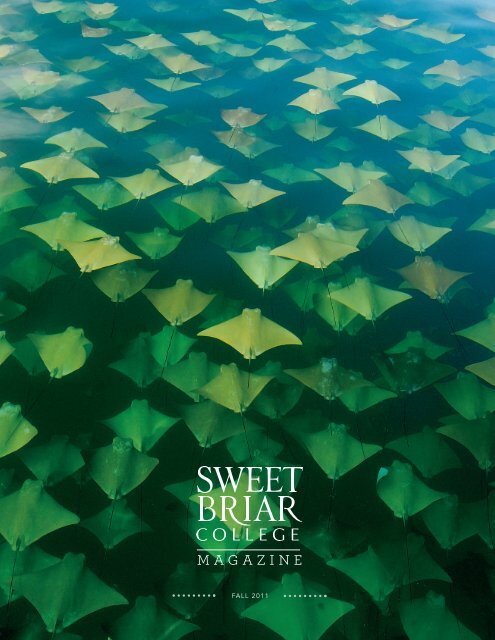 Download PDF - Sweet Briar College