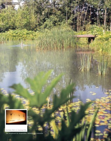 Der Angelteich für Angestellte, natürlich mit Grillstelle. - Fluter