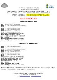 CONCORSO IPPICO NAZIONALE DI DRESSAGE B