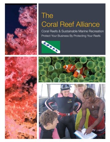 Coral Reefs & Sustainable Marine Recreation - NOAA's Coral Reef ...