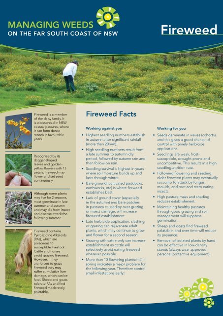 Fireweed - Southern Rivers Catchment Management Authority