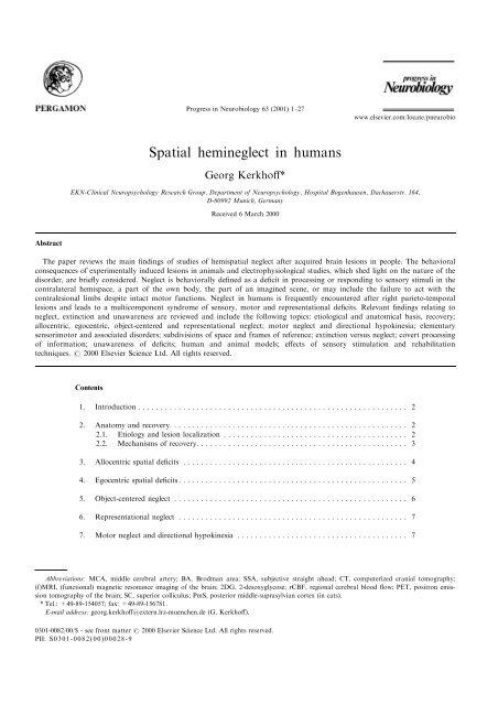 Spatial hemineglect in humans - Cisi