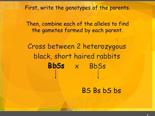 Dihybrid Genetics