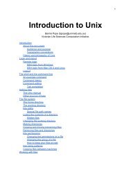 Introducing UNIX at VLSCI, Dr Bernard Pope