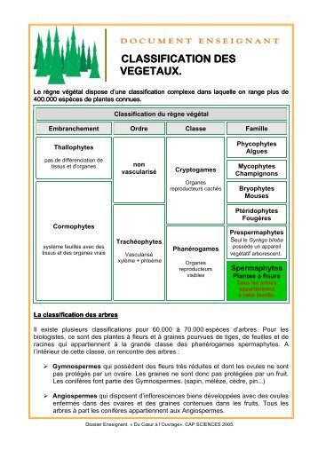 Classification des arbres - Cap Sciences