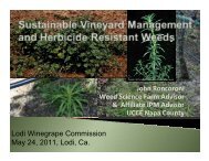 Sustainable Vineyard Management and Herbicide ... - Lodi Wine