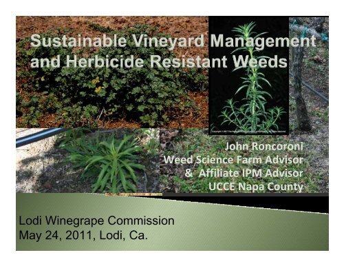 Sustainable Vineyard Management and Herbicide ... - Lodi Wine