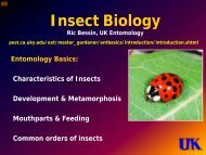 MG Entomology Basics