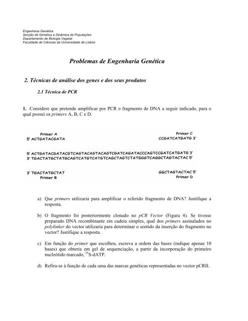 Problemas de Engenharia GenÃ©tica - Biologia Molecular e GenÃ©tica