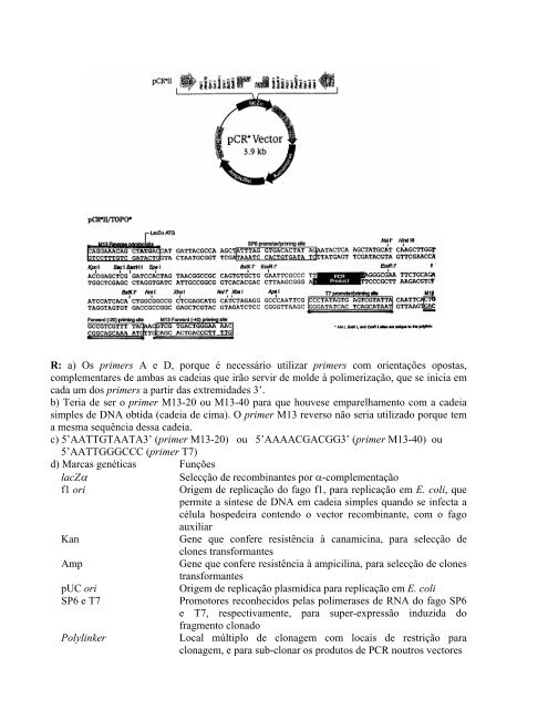 Problemas de Engenharia GenÃ©tica - Biologia Molecular e GenÃ©tica