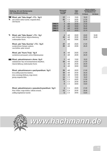 4. rhododendron fertigware - Baumschule Hachmann