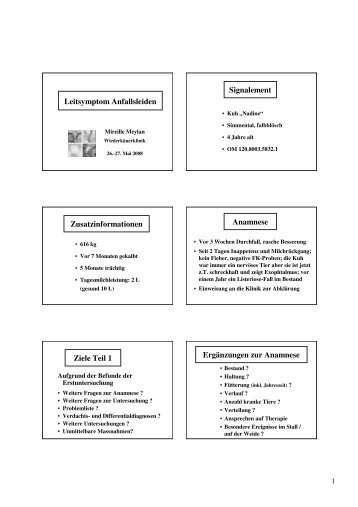 PowerPoint - Wdk Leitsymptom Anfallsleiden 2008 ...