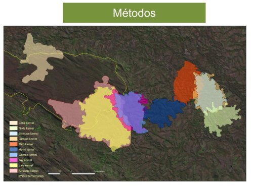 Influência da paisagem na ecologia espacial do lobo-guará ...