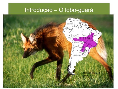 Influência da paisagem na ecologia espacial do lobo-guará ...