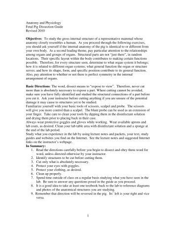 fetal pig dissection lab essay fetal pig dissection lab essay